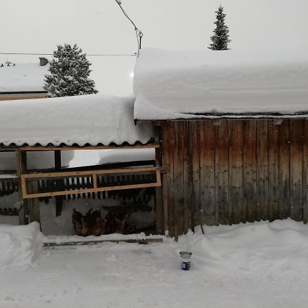 Haus Gell Hotel Mauterndorf  Exterior photo